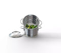 Steamer